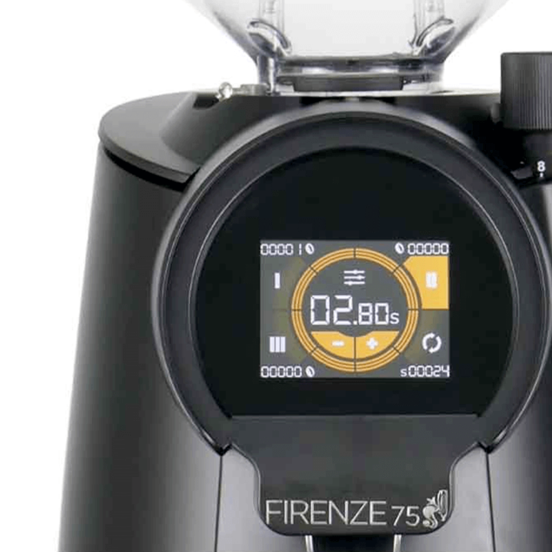 Máy xay cà phê EUREKA Firenze 75 - Ảnh 4